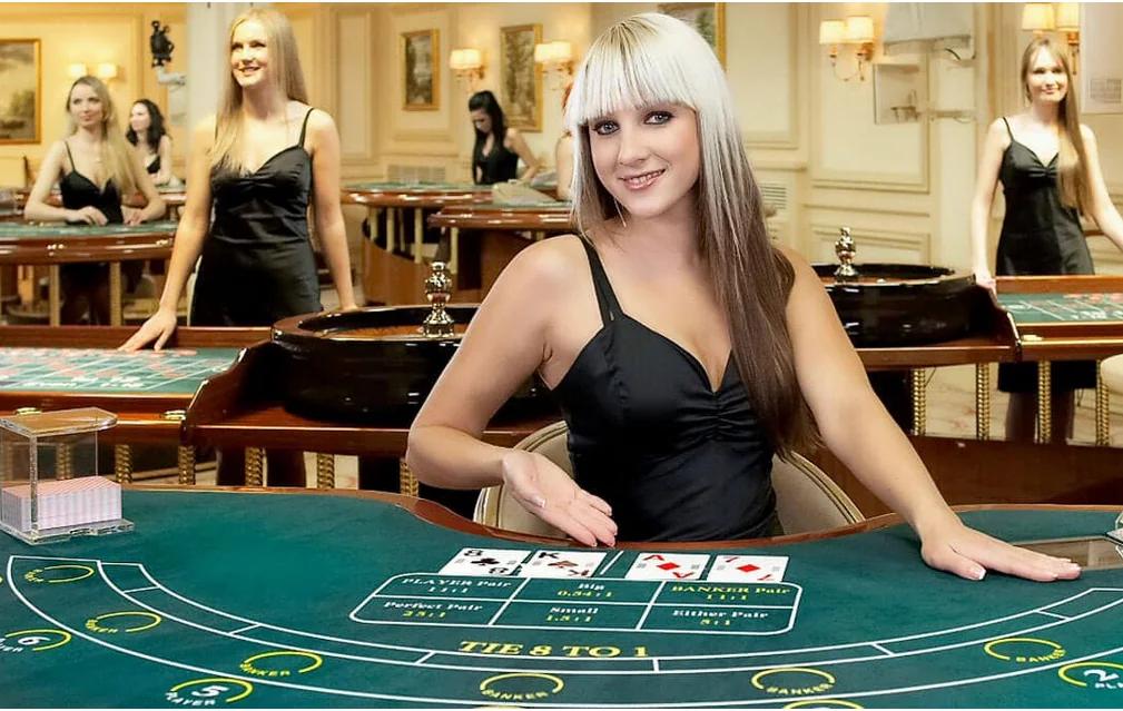 Tampilan suasana meja kasino live KENZOTOTO